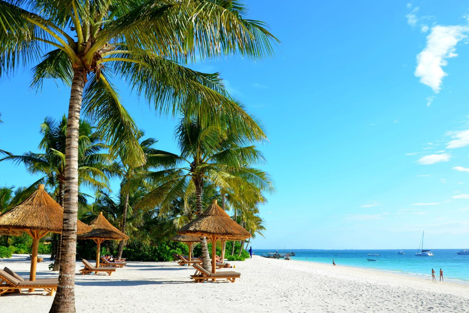 Image of a beach in Zanzibar, Tanzania